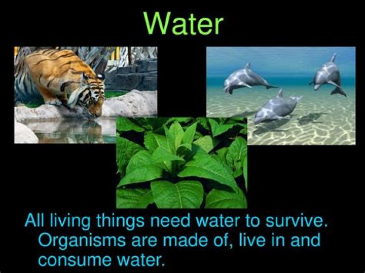 Which property of water is important for biological life?