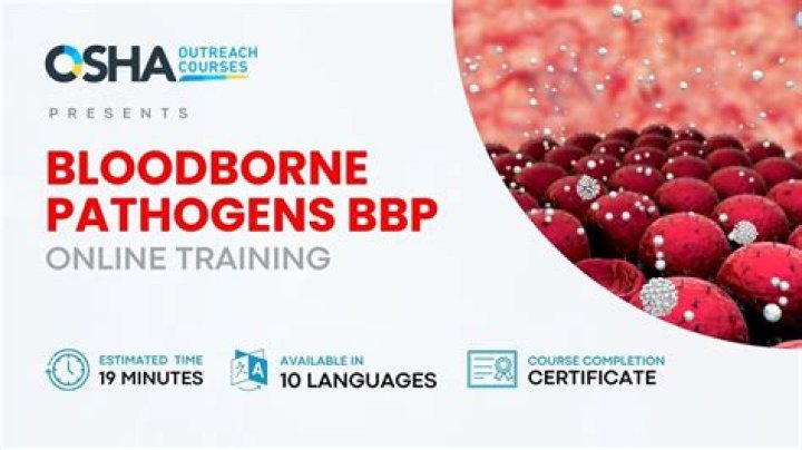 Who needs BBP training? | ContextResponse.com