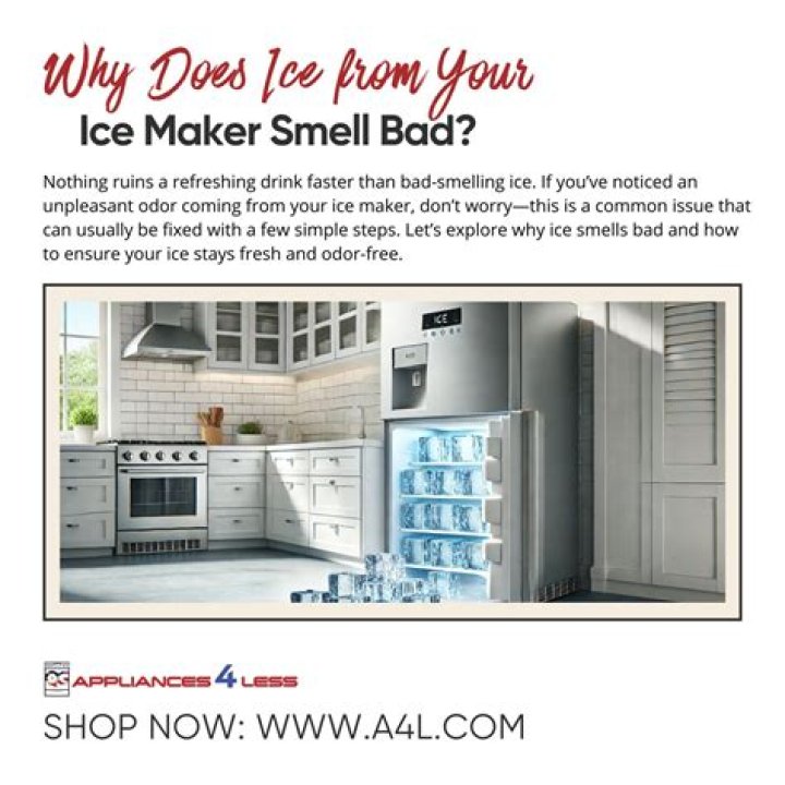 Why does ice from ice maker smell?