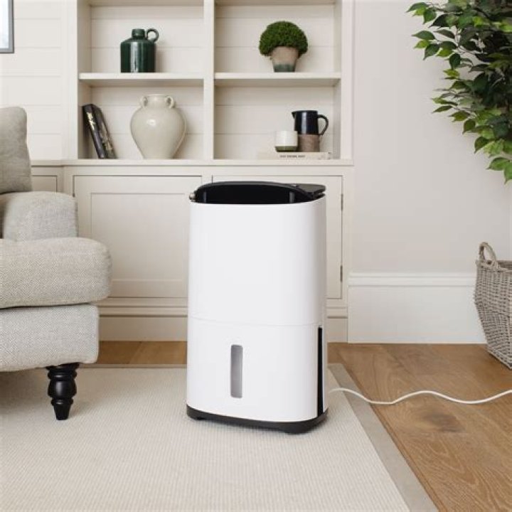 Why has my dehumidifier stopped collecting water?