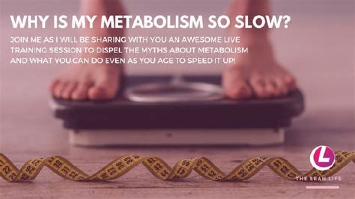 Why is my metabolism so slow?
