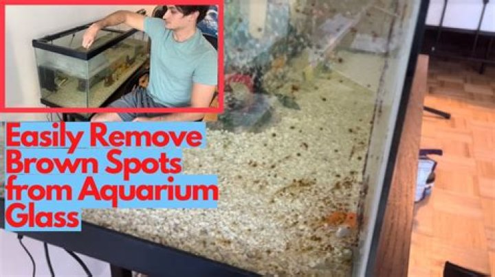 Why is the water in my aquarium Brown?