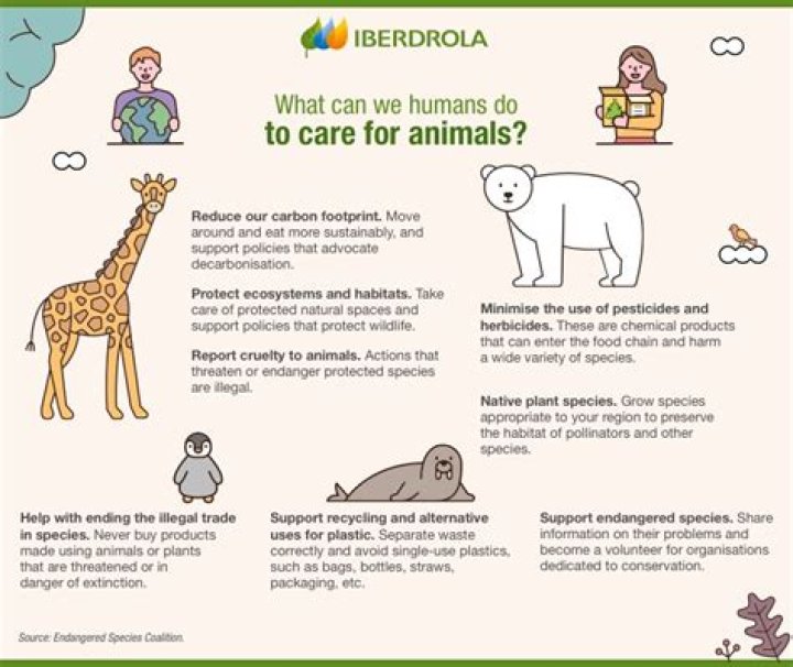 Why should we care about animal extinction?