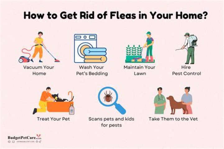 Will advantage get rid of fleas in the house?