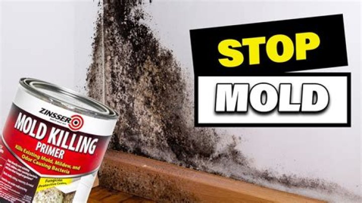 Will OdoBan kill mold? | ContextResponse.com